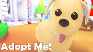 My foster mom read them to me, there sure were some very sweet words. Adopt Me Roblox