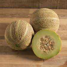 Eden S Gem Organic Melon Seed Johnny S Selected Seeds Cantaloupe And Melon Heirloom Seeds Seeds