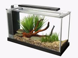 It is usually possible to use a fish filter for a turtle tank. Best Fish Tanks In 2020 Seaclear Marineland Fluval And More