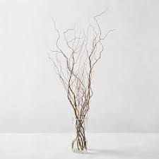 Olive Branch Ms Williams Sonoma