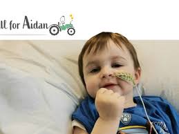 Fundraiser for Paddy Finn by Trang Nguyen : All For Aidan