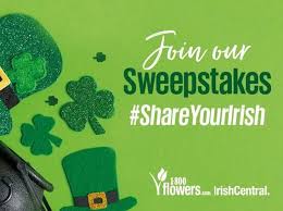 Pets world languages at work flowers wedding keep in touch invitations. The Global Irish Pride Felt On St Patrick S Day