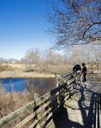 Spanning 800 acres on the southern coast of rhode island, the refuge protects the state's only undeveloped salt pond. Trustom Pond Refuge Birding Walk Ocean House Events