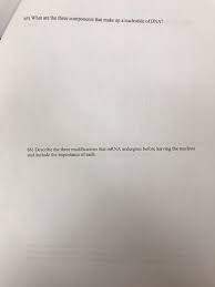 Each nucleotide consists of three components. 65 What Are The Three Components That Make Up A Chegg Com