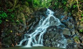 Taman wisata ds.pulau buayo kabupaten sarolangun, jambi : 15 Tempat Wisata Di Tanjung Jabung Barat Terbaru Terhits Dikunjungi Andalas Tourism