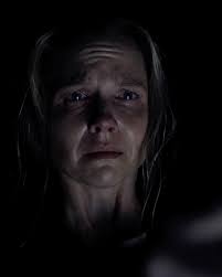 𝘿𝙖𝙞𝙡𝙮 𝙋𝙞𝙘𝙠