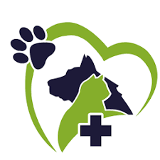 Clinica Veterinaria Agustina, Curicó