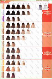Matrix Shade Card Matrix Colour Chart Joico Hair Color Swatch Chart Socolor Chart Rose Book Of Chart Matrix Colour Shade Chart Matrix Shade Chart Matrix Hair Color Hair Color Formulas Matrix