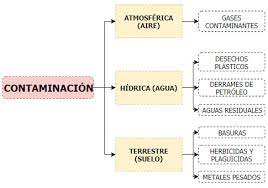 Para que un cuadro sinóptico sea realizado de manera correcta y que el tema sea comprendido rápida y fácilmente, este ha de tener ciertas características, entre ellas Cuadro Sinoptico Que Es Para Que Sirve Tipos Y Ejemplos
