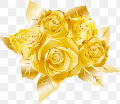 We did not find results for: Golden Rose Images Golden Rose Transparent Png Free Download