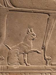 Image result for Pastel Alabaster 1990 Tracer