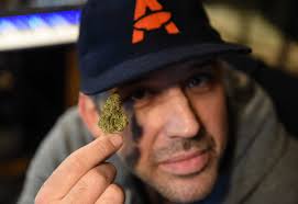 Legal pot sales may be just weeks away in the Capital Region