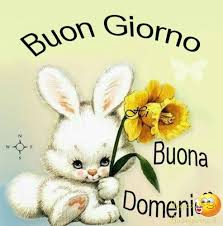Bellissime Immagini Di Buongiorno Da Scaricare Gratis Per Facebook E Whatsapp Good Morning Greetings Teddy Bear
