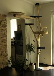 The cat solarium allows your indoor cats outside to bask in the sun and feel a cool breeze. Pin On Pets