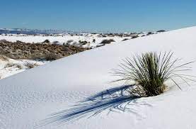 Accessible only by boat, the gleaming sandy beaches are as beautifull as they are dangerous. Exploring The Parks White Sands National Monument