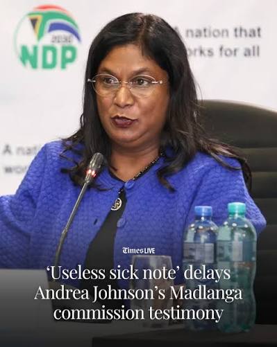 Independent Directorate Against Corruption (Idac) head Andrea Johnson's testimony before the Madlanga commission has been postponed after she was hospitalised shortly before she was due to take the witness box on Monday.