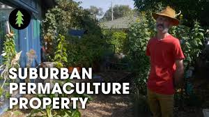 Family Transforms Tiny Suburban Backyard Into Thriving Permaculture Gardens Abdallah Hosue Tour Youtube