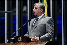 Líder da bancada feminina no senado. Divisao No Psdb Deixa Simone Tebet Em Desvantagem No Senado