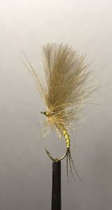 Yellow Owl Cdc Fly Fishing Flies Pattern Fly Tying Patterns Fly Fishing Lures