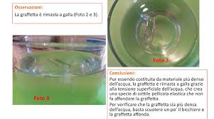 Matematica Scienze Educazione Proprieta Tipiche Dei Liquidi