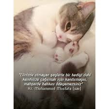 Hadis I Serif Islam Serif Kedi