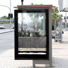 The Victorian Government S Melbourne Water Has Erected Green Bus Shelters Around Melbourne To Demonstrate How Rain Gardens Bus Shelters Rain Garden Green City
