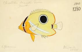 Checking for remote file health. In Order To Study Conchology Andrew Garrett 1823 1887 And His 1859 Expedition To The Kingsmill Islands Kiribati