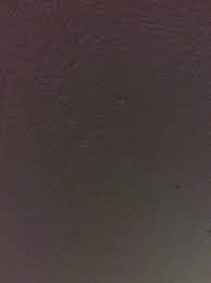 Pin By Kittygirl On Bhinkmkmkmmkmkkmkkmkomomkmo Vinyl Fabric Mohawk Home Hertex Fabrics