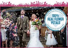 Maybe you would like to learn more about one of these? Confetti 100 Biodegradable The Real Flower Petal Confetti Company