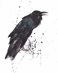 Black And White Raven Art Raven Black Bird Gothic Art By Alison Fennell Raven Art Raven Tattoo Gothic Art