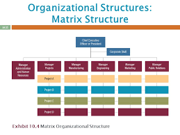 Nike Organizational Chart 2012 Related Keywords