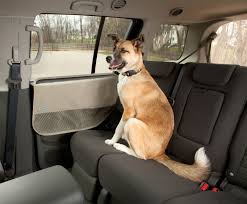 Kurgo Vehicle Door Guard Dog Car Seat Cover Dog Car Seats Dog Car