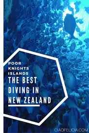 The Best Diving In New Zealand Poor Knights Islands Ciao Felicia Best Scuba Diving Weather In New Zealand New Zealand