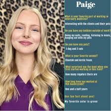 VCA Countryside Animal Hospital of Howell