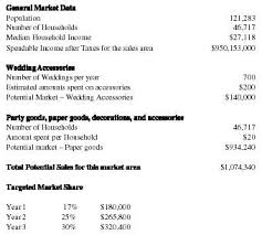 Party Supply Store Business Plan Business Plan Cash Flow Assumptions And Considerations Executive Sum Party Supply Store How To Plan Party Planning Business