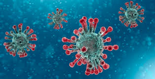 Avoid exposing the elderly and people with underlying health conditions to the virus. Corona Virus Covid 19 Princeton