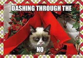 12 Days Of Grumpy Cat Christmas