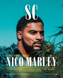 Nico Marley's Taking Health and Wellness to New Heights with Lion X  Wellness