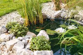 Einen teich in den garten einbinden. Folienteich Anlegen Anleitung In 8 Schritten Obi
