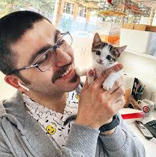 Yavru Kedime Ne Yedirmeliyim Yavru Kediler Hangi Mamalari Yer Dorukgiller