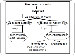 Nota lengkap sains tingkatan 4 sesuai untuk rujukan pelajar tingkatan 4 dan 5 yang mengambil. Nota Sains Tingkatan 3 Yang Power Sains Ting 4 Bab 3 Skoloh