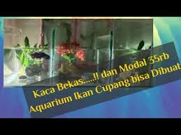Kalo banyak mungkin gak usah pake resistor biar terang tuh nyalanya. View Cara Bikin Aquarium Ikan Cupang Background
