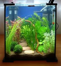 While a betta won't require. Nice 25 Cool Betta Fish Tank Ideas That Will Inspire You Https Meowlogy Com 2017 10 13 25 Cool Betta Fish Tank Ideas Betta Aquarium Betta Fish Tank Aquarium