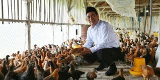 Sementelahan, agropelancongan merupakan bidang yang patut dikembangkan dalam sektor pertanian. Ini Alasan Sektor Pertanian Menarik Untuk Dijadikan Profesi Halaman All Kompas Com