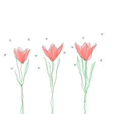 Download flower gif animated images for web or other uses. Wallpaper Tulip Flower Gif