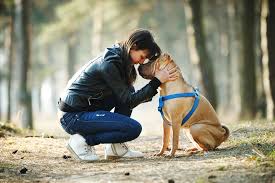 Some cancers, such as lymphoma, are more common in cats than in dogs. All The Amazing Things Your Dog Or Cat Can Sense