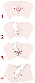 Die massage hilft dabei die haut des damms auf die. Dammmassage Schwanger At