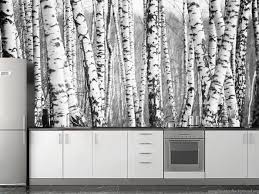 With a pencil draw the birch trees first. Birch Tree Wall Mural Sticker Or Painted Mural Wallpapers Mural Desktop Background