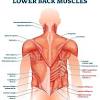 For this, there is a complex of the best physical activities aimed at each muscle group. 1