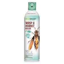 The spray creates a durable foam that kills wasps, hornets, and yellow jackets . Ecosmart Wasp Hornet Killer 9 Oz Aerosol Spray Can Walmart Com Walmart Com